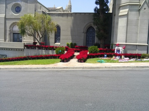 Homenagem para Michael Jackson: 15,627 rosas decoram o Cemitério Mj-forest-25-06-14-1
