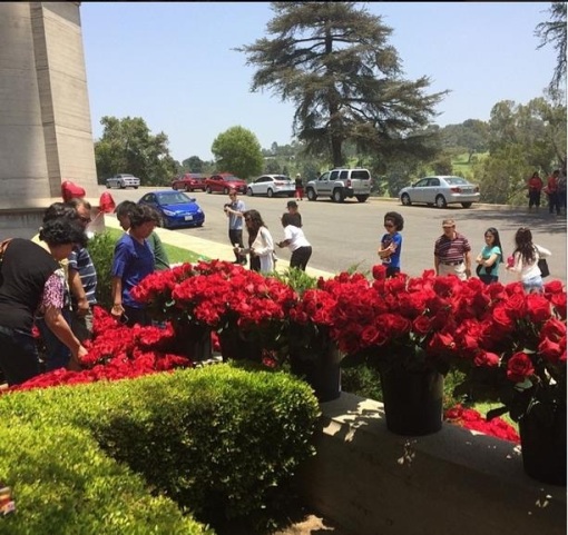 Homenagem para Michael Jackson: 15,627 rosas decoram o Cemitério Mj-forest-25-06-14-12