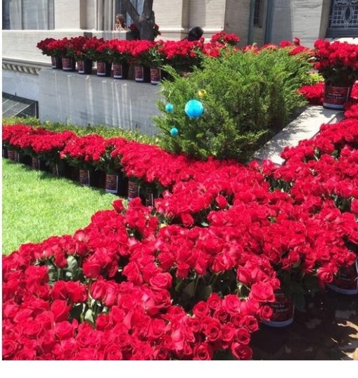 Homenagem para Michael Jackson: 15,627 rosas decoram o Cemitério Mj-forest-25-06-14-13