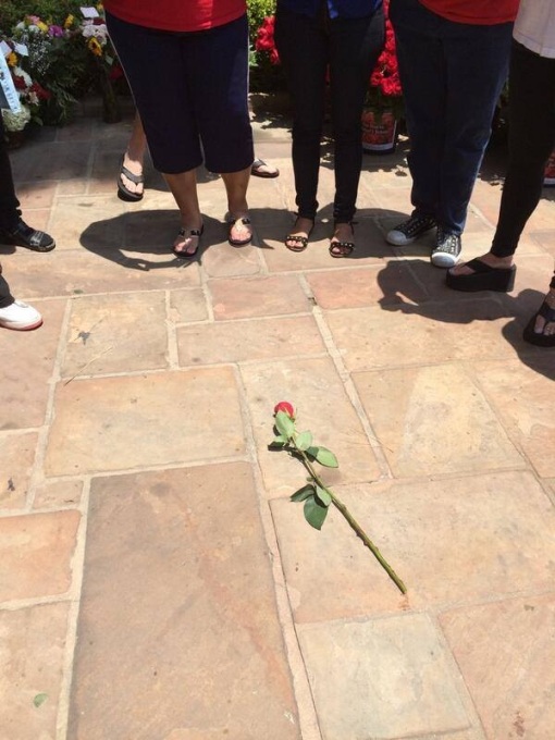 Homenagem para Michael Jackson: 15,627 rosas decoram o Cemitério Mj-forest-25-06-14-14