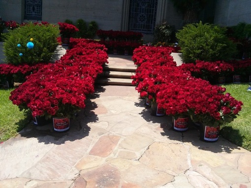 Homenagem para Michael Jackson: 15,627 rosas decoram o Cemitério Mj-forest-25-06-14-4