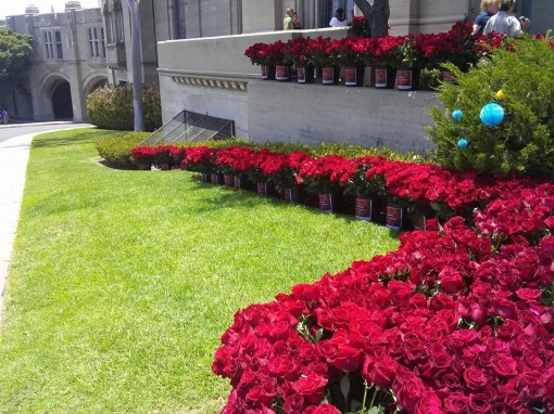 Homenagem para Michael Jackson: 15,627 rosas decoram o Cemitério Mj-forest-25-06-14-5