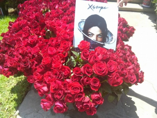 Homenagem para Michael Jackson: 15,627 rosas decoram o Cemitério Mj-forest-25-06-14-6