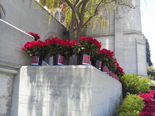 Homenagem para Michael Jackson: 15,627 rosas decoram o Cemitério Mj-forest-25-06-14-7
